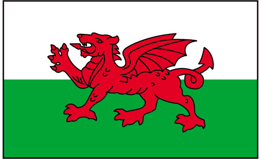 Welsh Flag